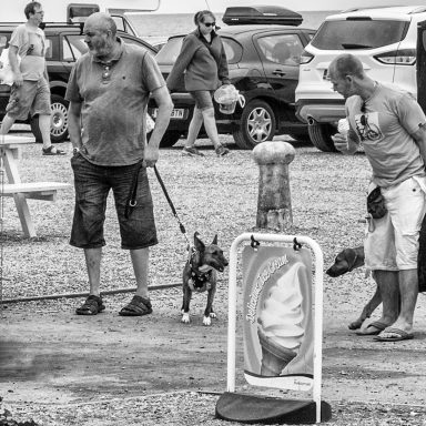 Two men, two dogs and two ice creams